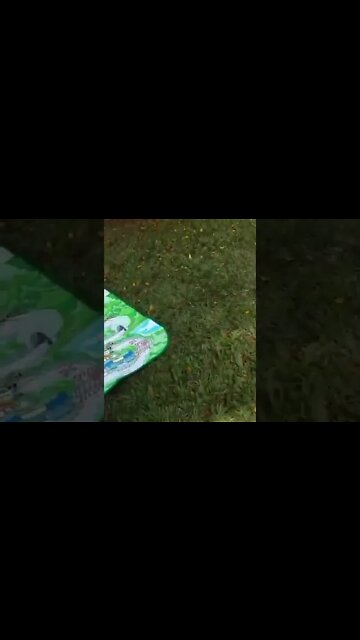 OLHA A BAGUNÇA QUE ELA FEZ NAO ACREDITO #chocolate #viral #shorts