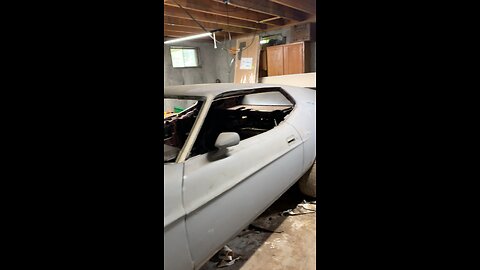Mustang build