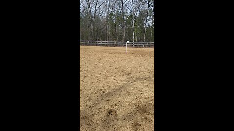 Part Time Cowboy and Cody running a mounted shooting pattern.