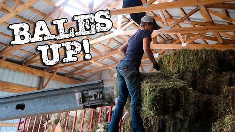 Stacking Small Squares and Momma Turkey Update!