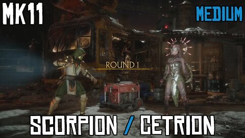 Mortal Kombat MK11: Scorpion vs Cetrion Gameplay. Towers of Time - Xbox One Live