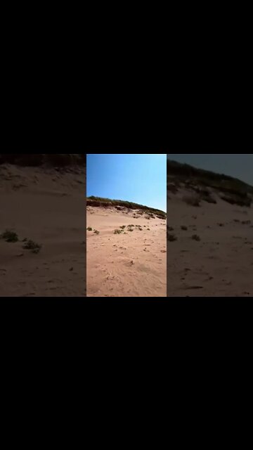 A massive section of the beach