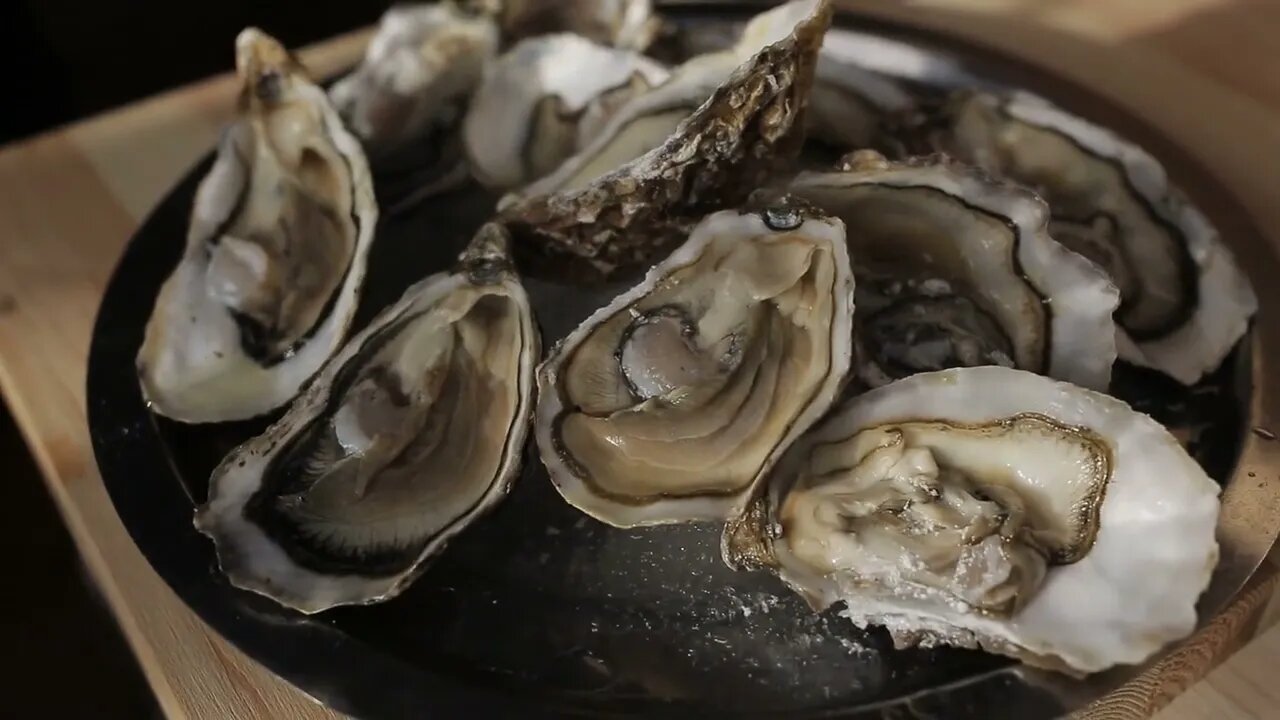 Oysters placed on ice tray