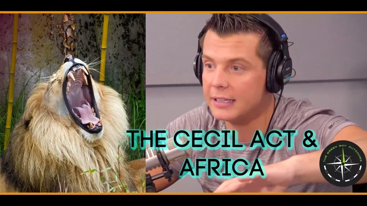 The Cecil Act & How It Hurts Africa