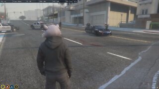 NoPIxel SA - Guaxinim agora é marcado pela polícia