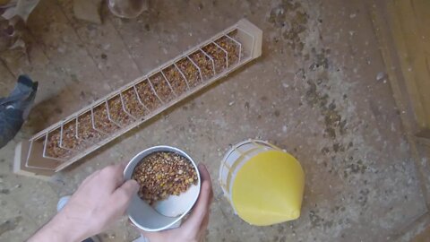 Feeding young birds Garlic Vitamins and Minerals .