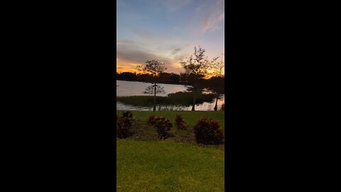 Livestream Replay - Sunrise Neighborhood Walk Post Hurricane Ian 10/4/2022