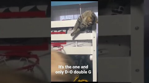 It's the one and only D-O double G #shorts