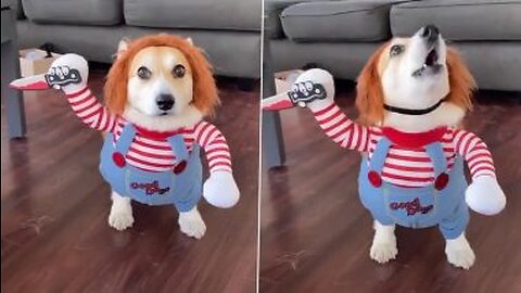 Puppy funny reaction of cute in doll 🤣🤣