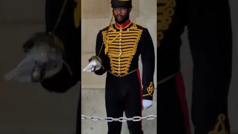 The Queen's Guard stops him self from laughing #horseguardsparade