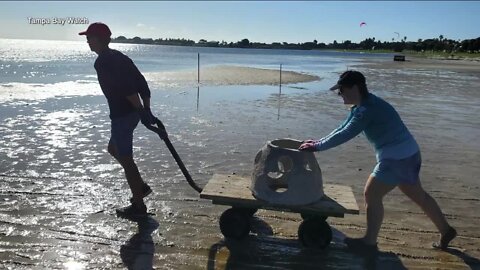 Tampa Bay Watch protects area shorelines one project at a time