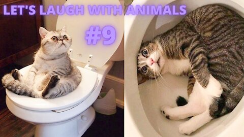 LET'S LAUGH WITH ANIMALS | #9