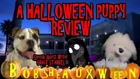 A Halloween Puppy Review