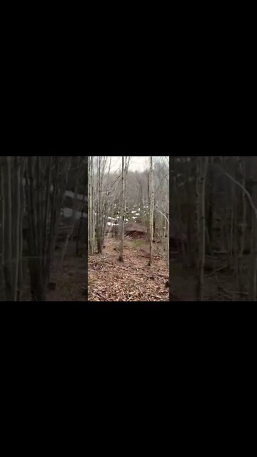 Hiking up a hill in Canada