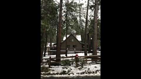 Fun Snow! She’s Excited! Picnic In The Car.