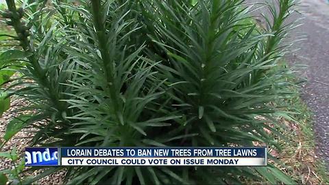 Lorain debates to ban new trees from tree lawns