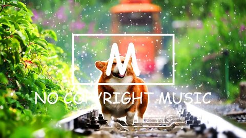 Daloka - Together（Mm No Copyright Music）