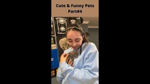 How much cute they are part 4 | cute & funny pets | Boom Bestie | #shorts #ytshorts #shorts_viral