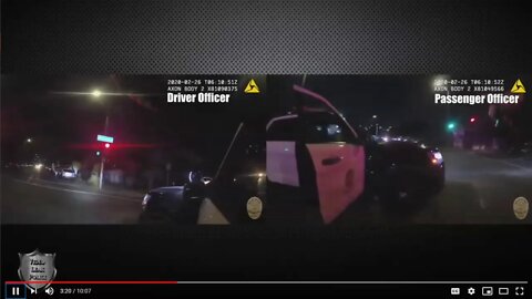 LAPD Police Shooting & K-9 Use - Cops Do Good Job Of Catching & Arresting Suspect