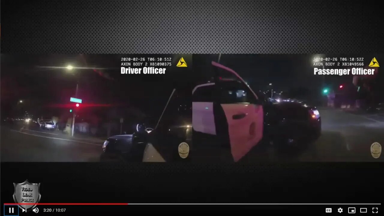 LAPD Police Shooting & K-9 Use - Cops Do Good Job Of Catching & Arresting Suspect