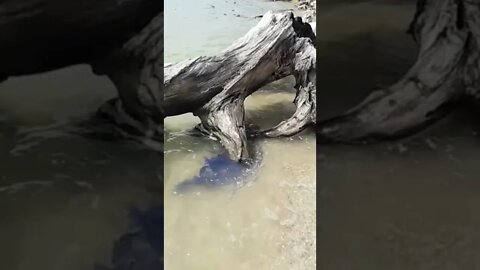 Pantai Putri Klayar