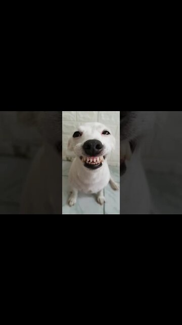 QUANDO VOCÊ FAZ ALGO ERRADO E TENTA DISFARÇAR