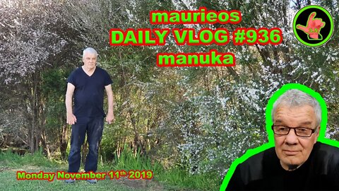 maurieos DAILY VLOG #936 manuka