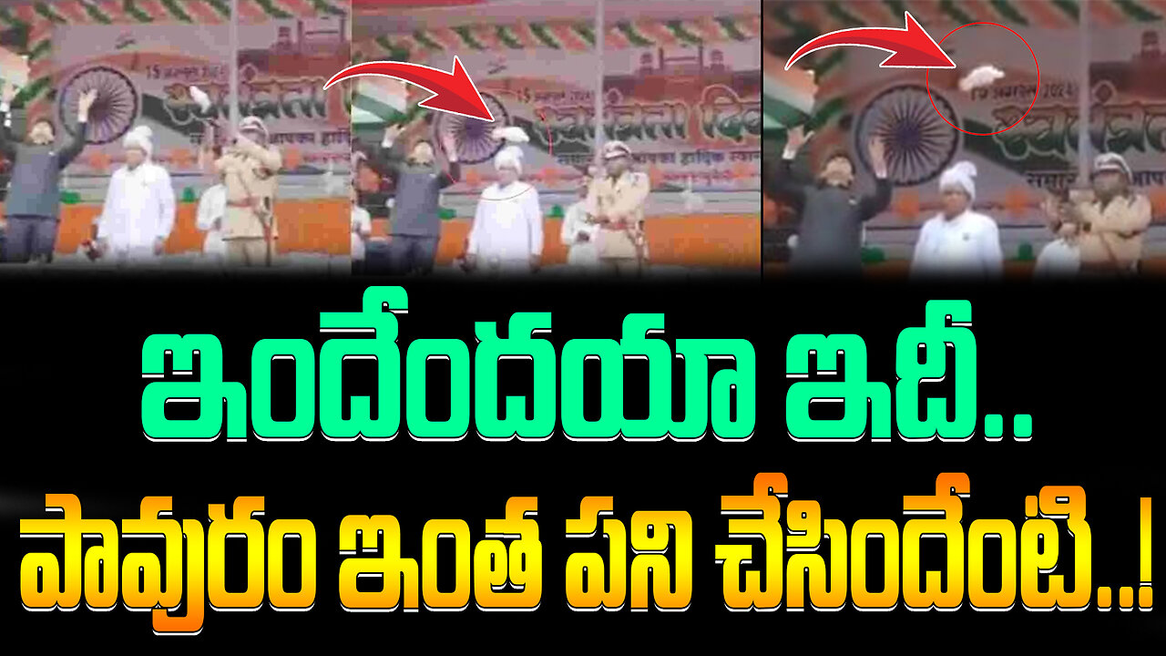 ఇందేందయా ఇదీ.. పావురం ఇంత పని చేసిందేంటి..! #viral #pigeon #flaghosting #video | FBTV NEWS