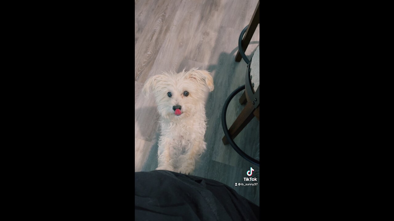 A little nibble with Bear