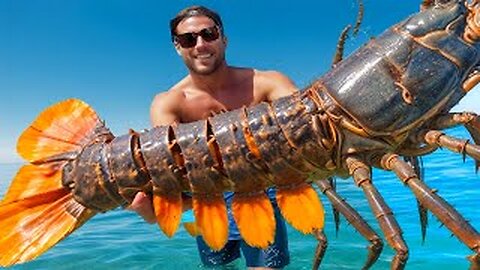 World's Giant Crustacean of the Sea - The American Lobster