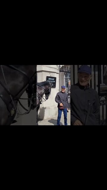 hose pushes tourist #horseguardsparade