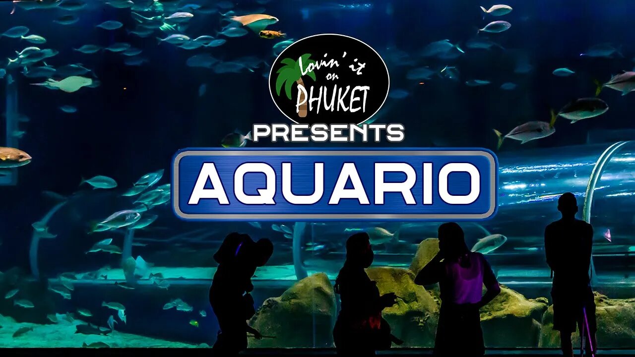 AquaRio, The Marine Aquarium Attraction in Rio de Janeiro Brazil