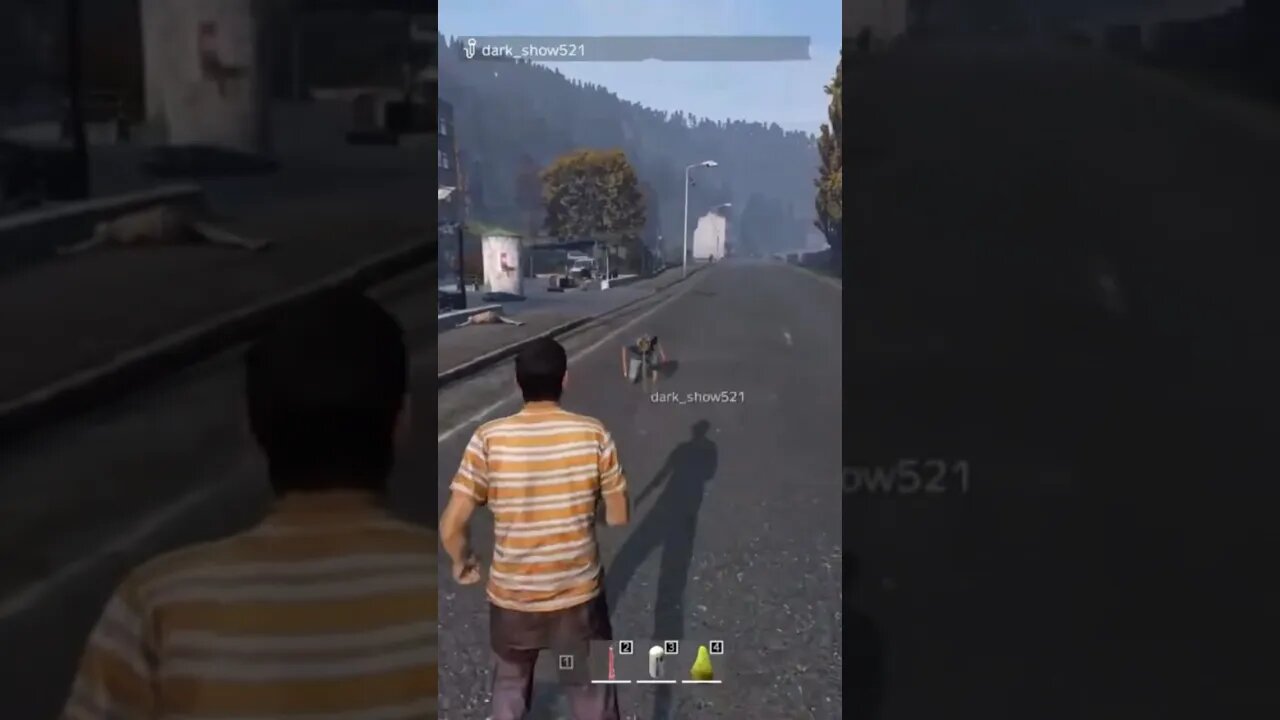 COMMENT What’s Going On Here | DayZ