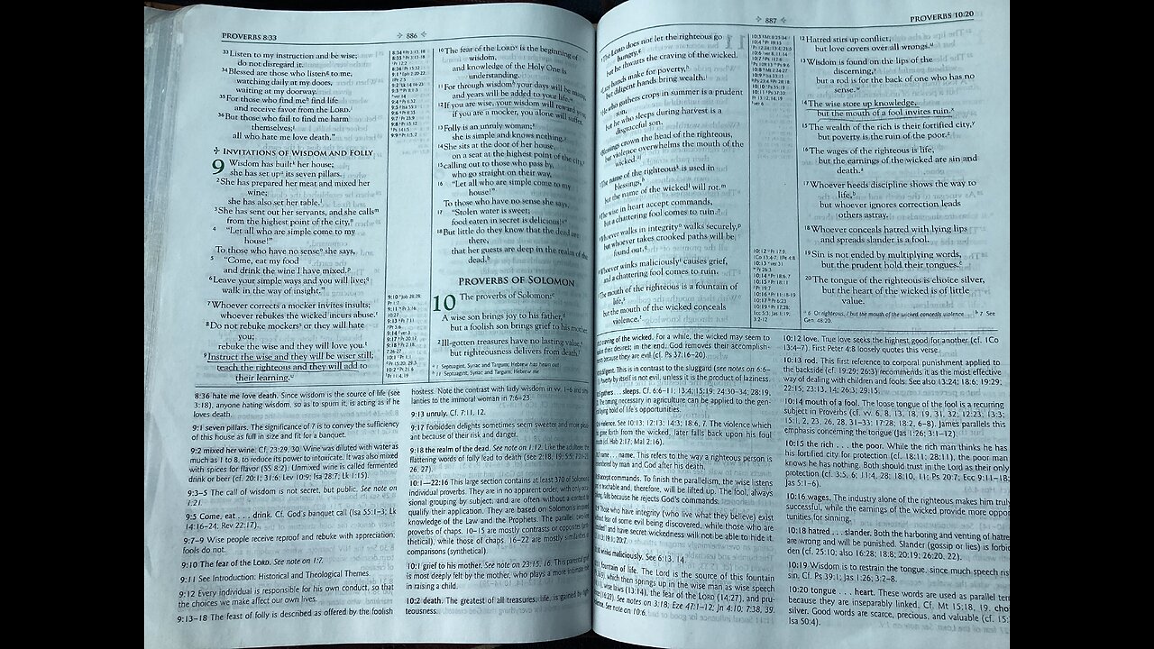 Proverbs 10-11