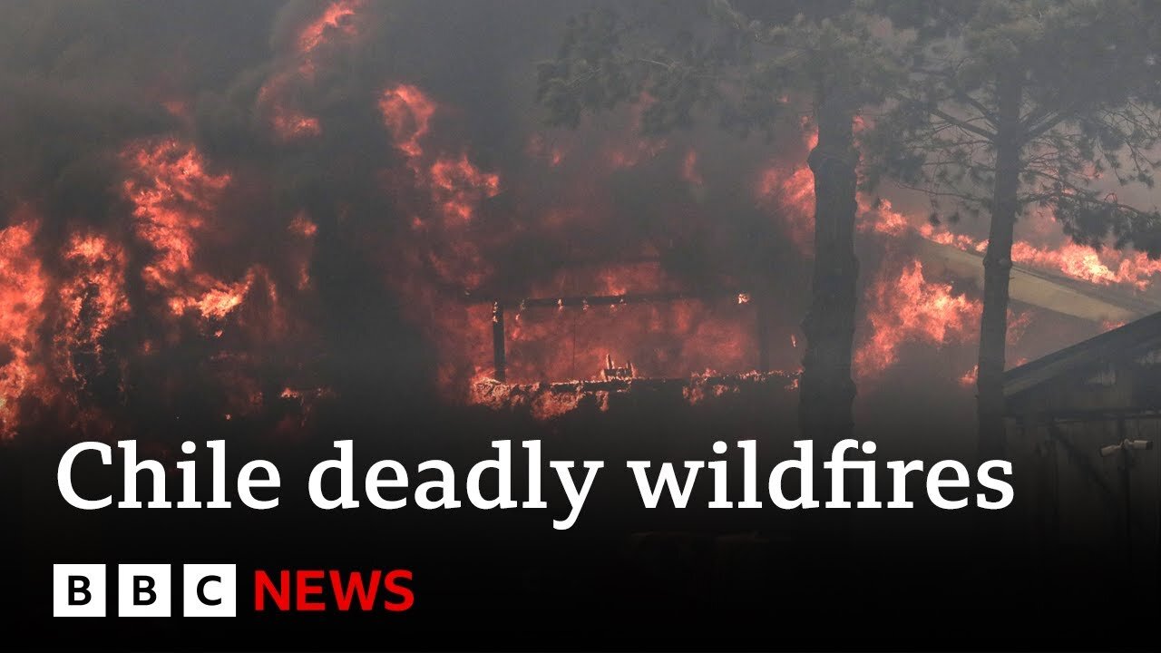 Chile forest fires: At least 51 dead, say officials | BBC News