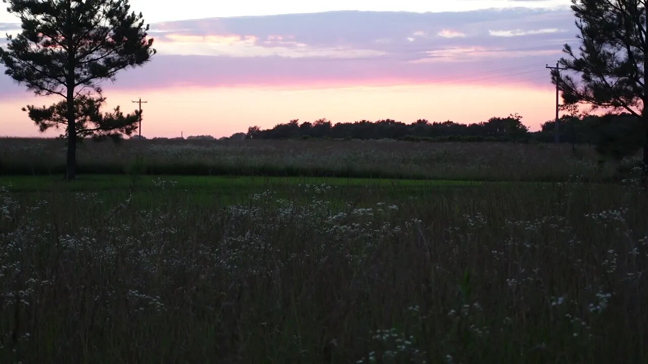 4K Country Sunset, Rural America, No Looping, Relaxing Nature, Birds Singing, Serene Ambience