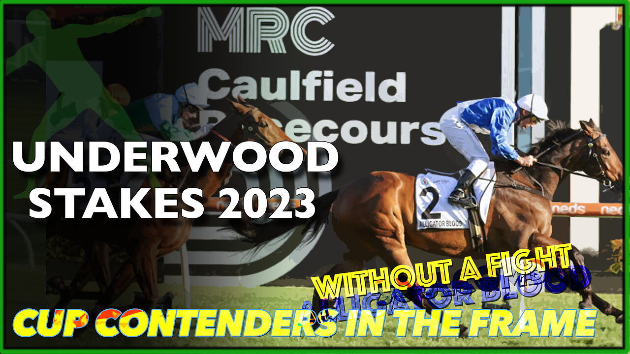 2023 Underwood Stakes | Soulcombe (GB), Without A Fight (IRE), Alligator Blood (AUS)