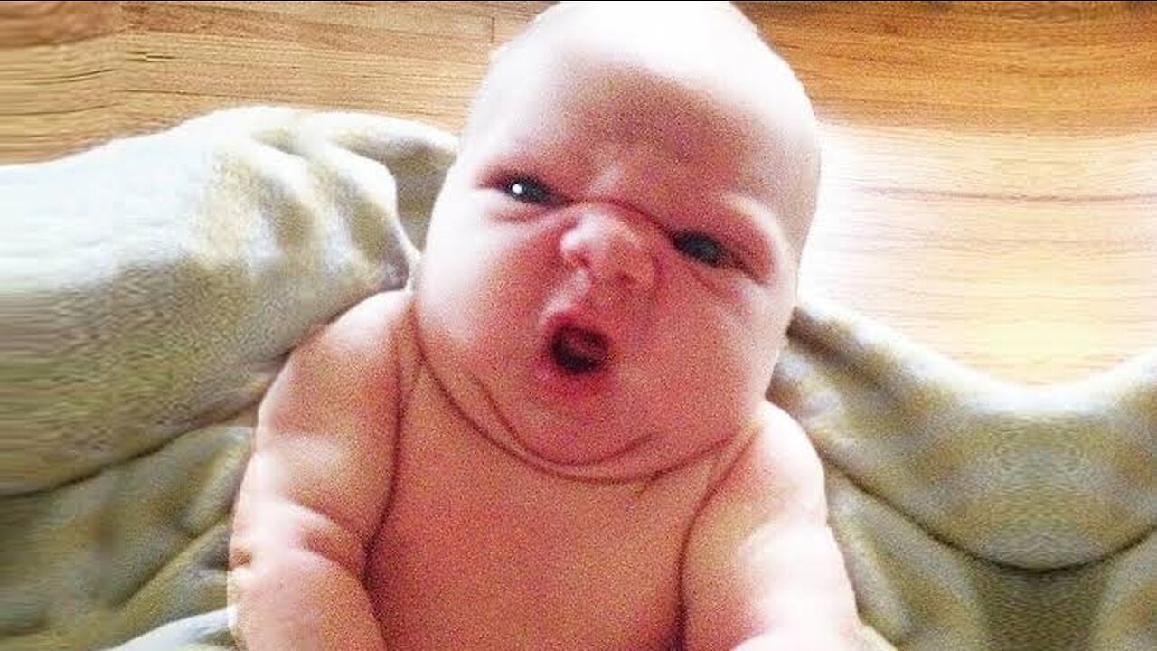 Hilarious Adorable Babies Funny Baby Video