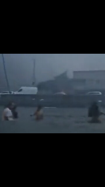 Hawaii Fires - Maui - People Jumping in the Water to Survive