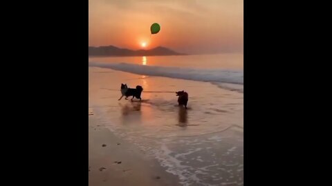 Having fun together.. 😊