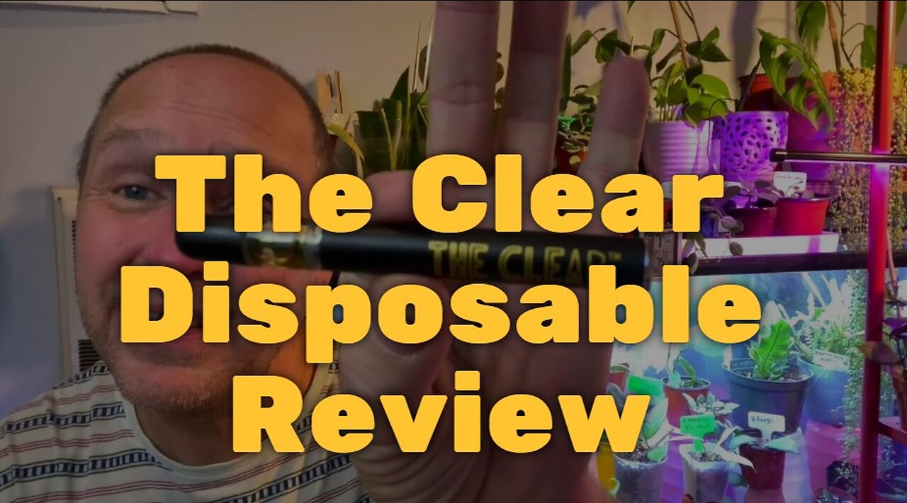 The Clear Disposable Review - Very Stoney