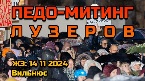 ЖЭ: ПЕДО-МИТИНГ лузеров • 14 11 2024 г., Вильнюс