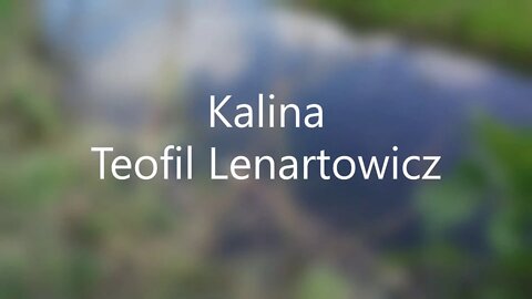 Kalina Teofil Lenartowicz