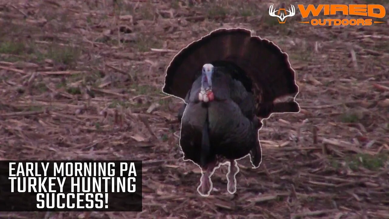 2020 - Early Morning PA Turkey Hunting Success!