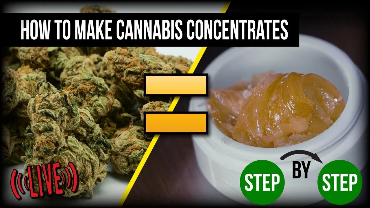 HOW TO MAKE CANNABIS CONCENTRATES LIVE AT 4PM PST