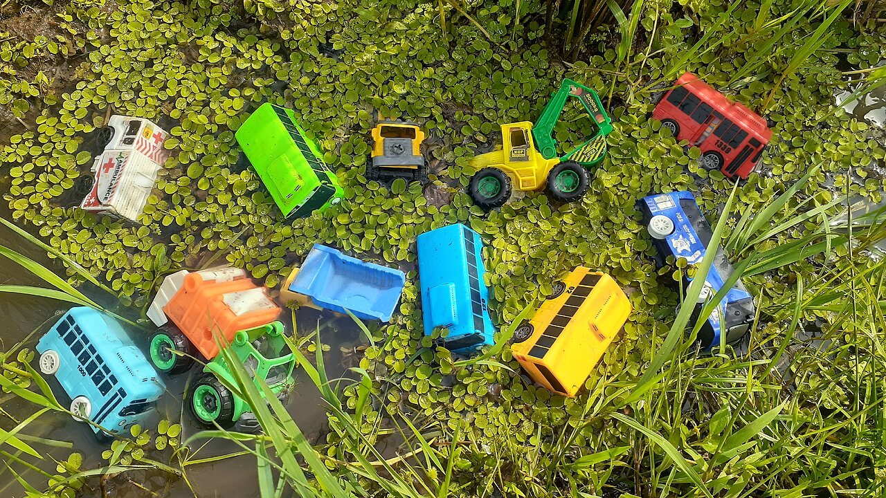 Looking for and Finding Tayo, Lani, Gani and Rogi Bus Toys in the Muddy Rice Fields