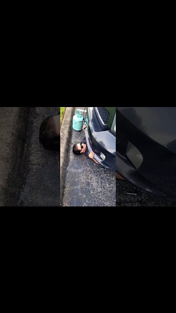 now that's walking with ya back emmy