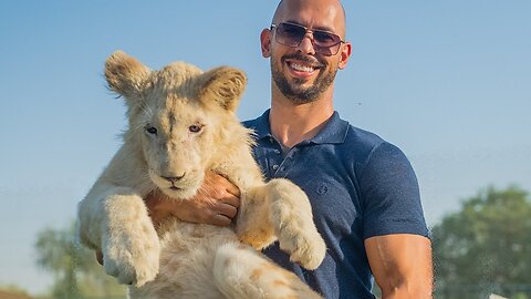 Andrew Tate Visits $300M Private Dubai ZOO.