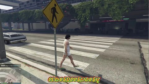 GTA V Hacker