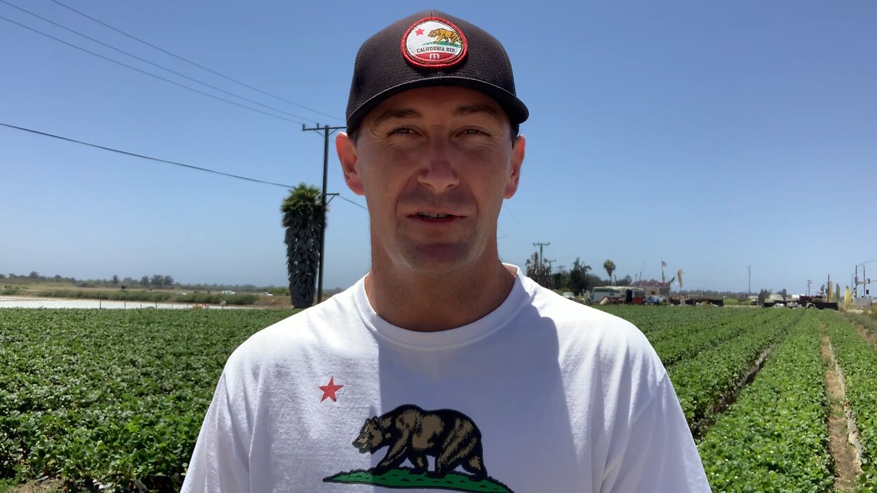 The Cal Report 6/14/22 - Ventura